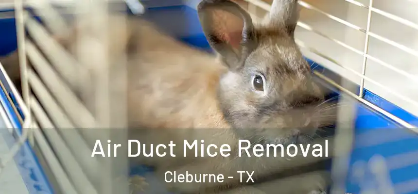  Air Duct Mice Removal Cleburne - TX