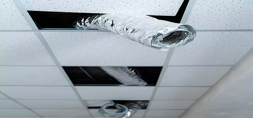 Affordable HVAC Sanitizing After Pest Removal in Cleburne