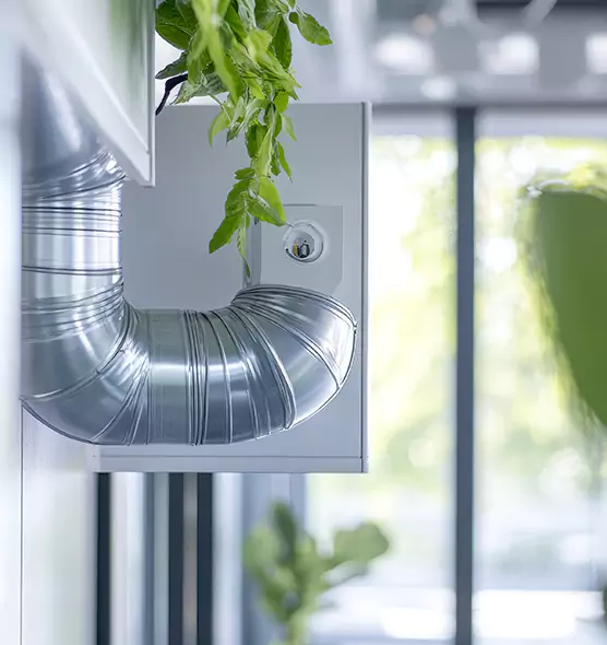 Professional Eco-Safe Dryer Vent Cleaning in Cleburne, TX