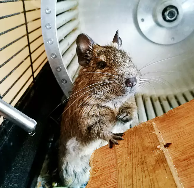 Why Homeowners & Businesses Trust Us Cleburne, TX