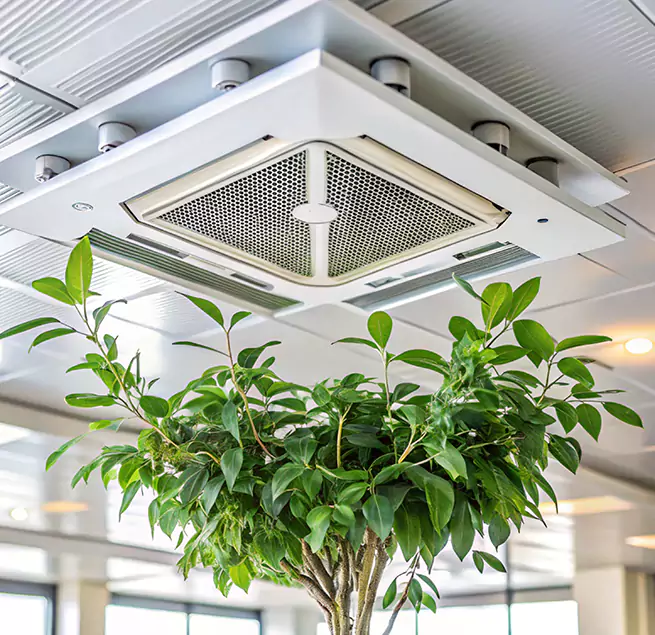 Why Homeowners & Businesses Trust Us in Cleburne, TX?